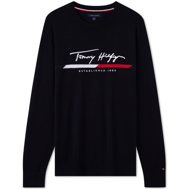 Tommy Hilfiger Knitwear Men's Crew Neck Moderate Other
