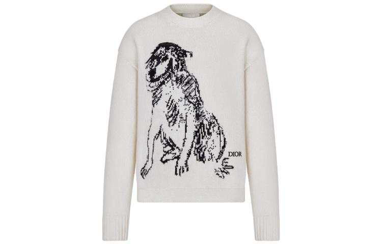 DIOR DIOR Sweaters Men's White Crew Neck Moderate Other