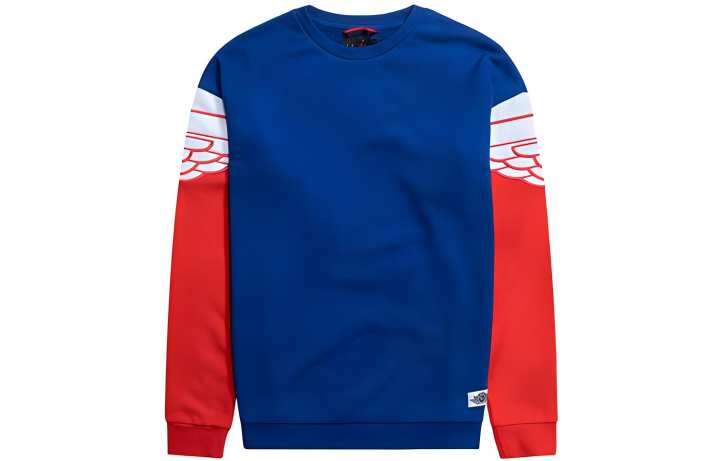 Jordan Jordan Retro Wings Sweatshirt Men's Blue
