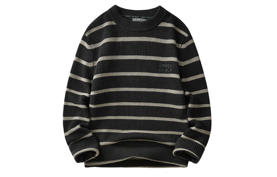 JEEP SPIRIT Sweaters Men's Crew Neck Moderate Other