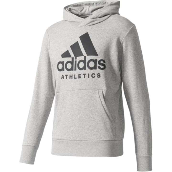 Adidas Adidas Sport Sweatshirt Men's Gray