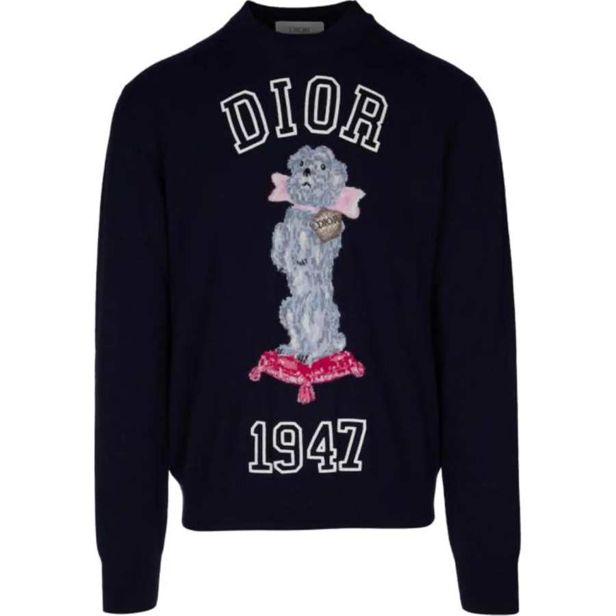 DIOR DIOR Sweaters Men's Dark Blue Crew Neck Moderate Other