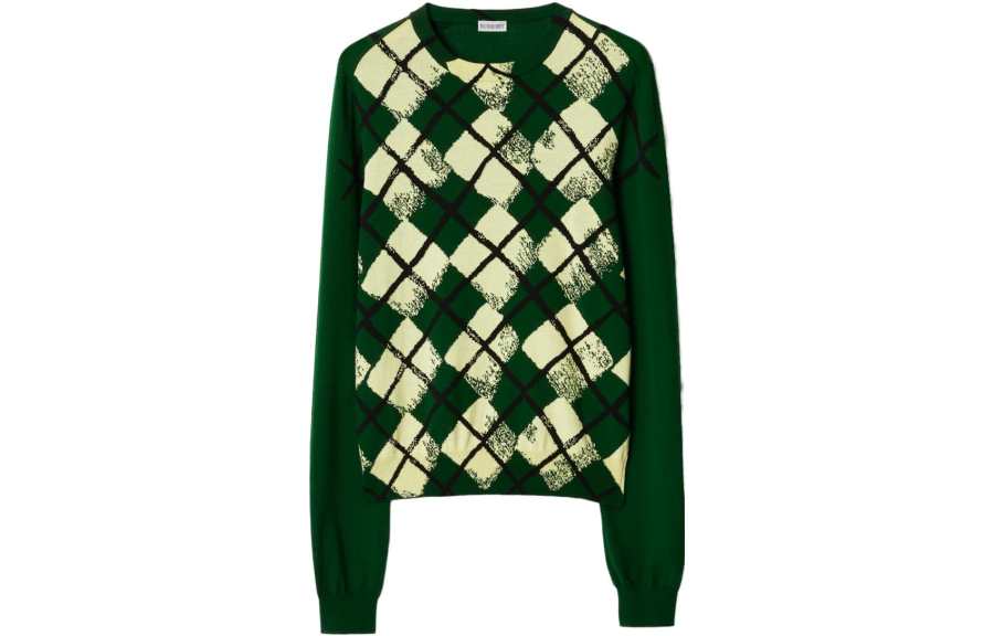 Burberry Knitwear Men's Green Crew Neck Moderate Other