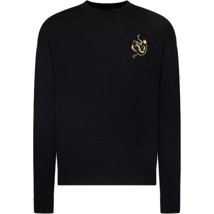 EMPORIO ARMANI Smooth Virgin wool Jumper With Embroidery