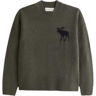 Abercrombie＆Fitch Sweater Unisex Dark Green