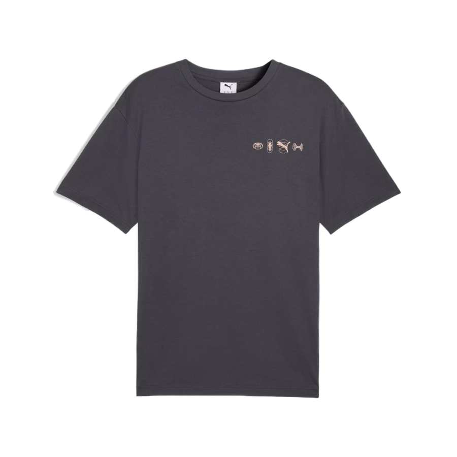 PUMA T Shirts Unisex Gray Crew Neck Moderate Straight Fit
