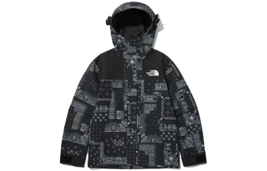 THE NORTH FACE Novelty Eco Gtx Mountain Jacket Matt Black Unisex Korea Version