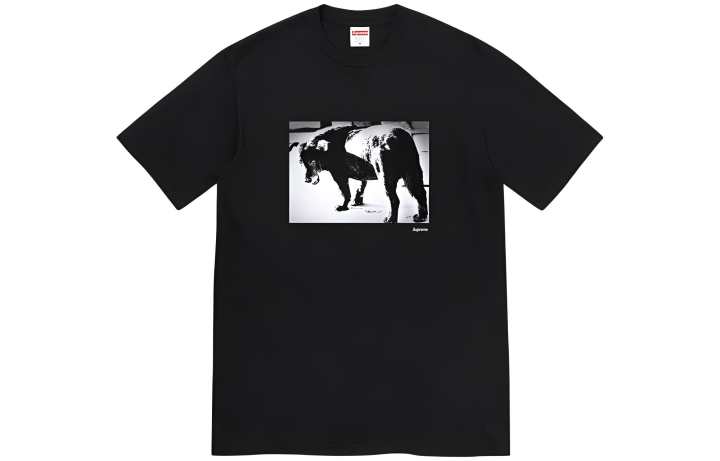 Supreme Supreme SS22 T Shirt Unisex Clothing