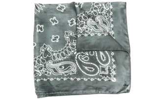 Golden Goose Deluxe Brand Paisley Printed Scarf
