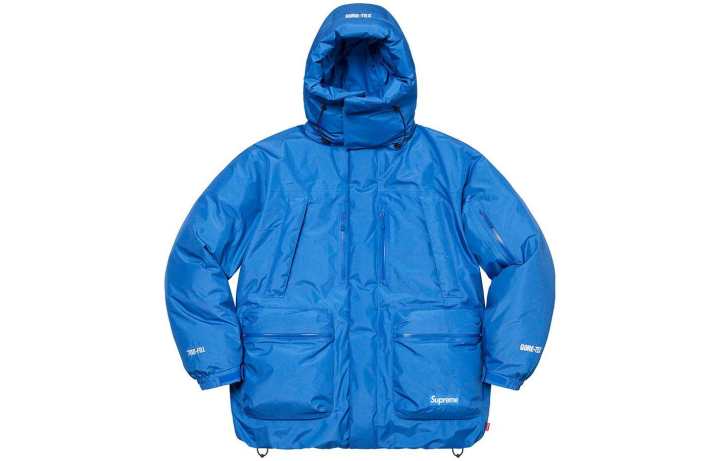 Supreme Supreme GORE TEX 700 Fill Down Parka FW22
