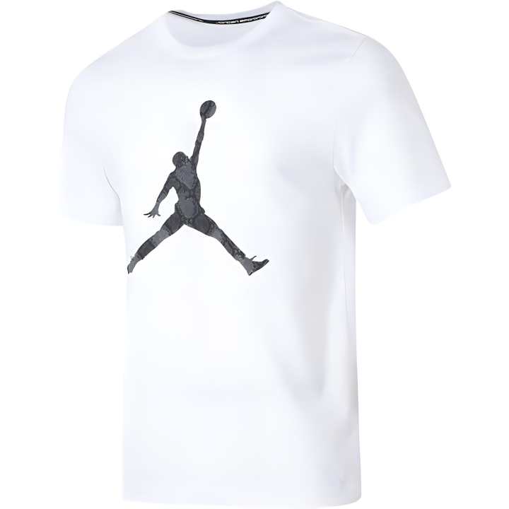 Jordan Jordan Dri FIT T Shirt Men's White