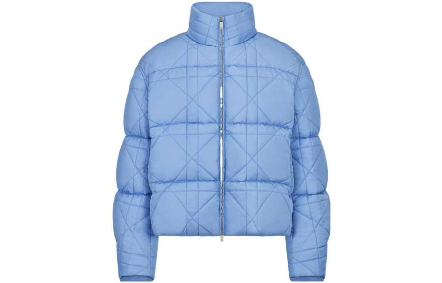 DIOR DIOR X Erl Down Jacket
