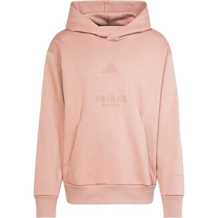 Adidas Adidas All Szn Fleece Graphic Hoodie