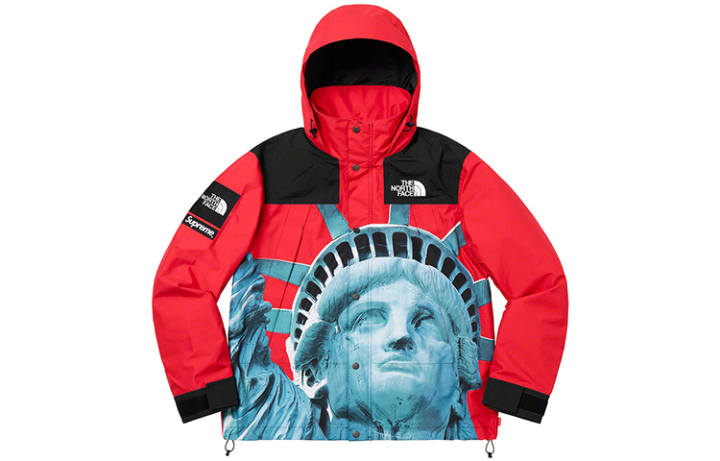Supreme Supreme X The North Face Statue Of Liberty Mountain Jacket