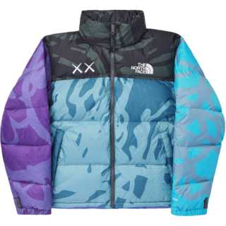 KAWS X The North Face Retro 1996 Jacket