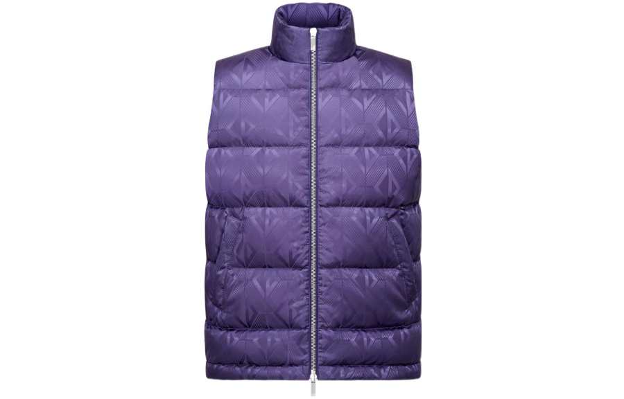 DIOR DIOR Down Vests Men's Purple Stand Collar Moderate