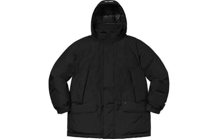 Supreme Supreme GORE TEX 700 Fill Down Parka