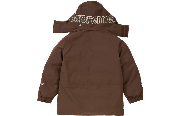 Supreme Supreme GORE TEX 700 Fill Down Parka