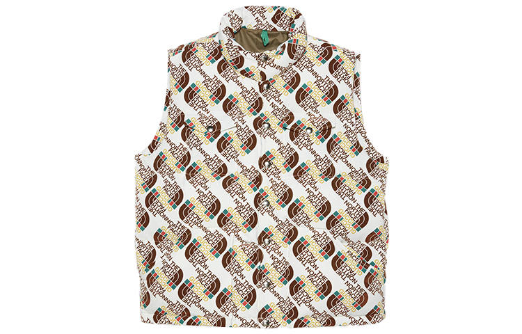 GUCCI X The North Face Down Vest