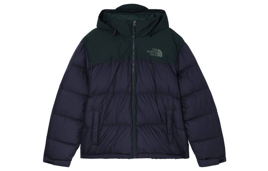 THE NORTH FACE 1996 Collection Down Jacket Winter Men's Blue Green Multicolor