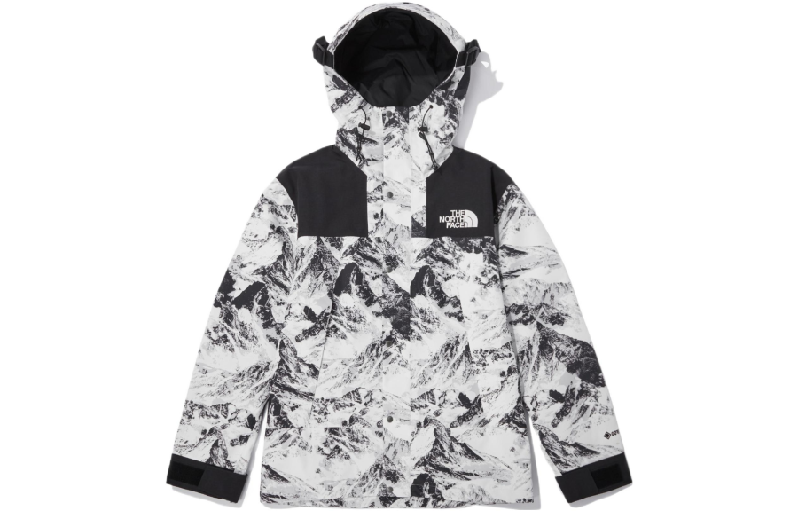 THE NORTH FACE Novelty Eco Gtx Mountain Jacket Nutral Gray Unisex Korea Version