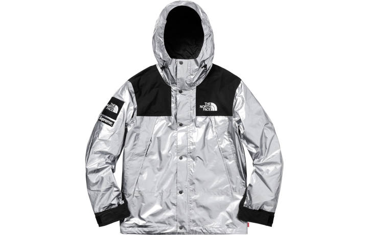 Supreme Supreme X The North Face Metallic Mountain Parka