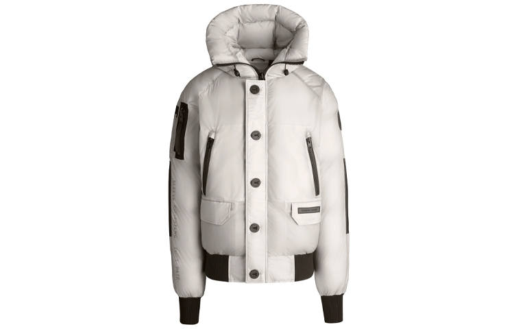 Canada Goose Canada Goose Down Jacket Unisex Silver Birch