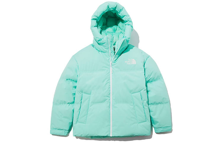 THE NORTH FACE 1996 Collection Down Jackets Unisex Light Green Hooded Moderate Other