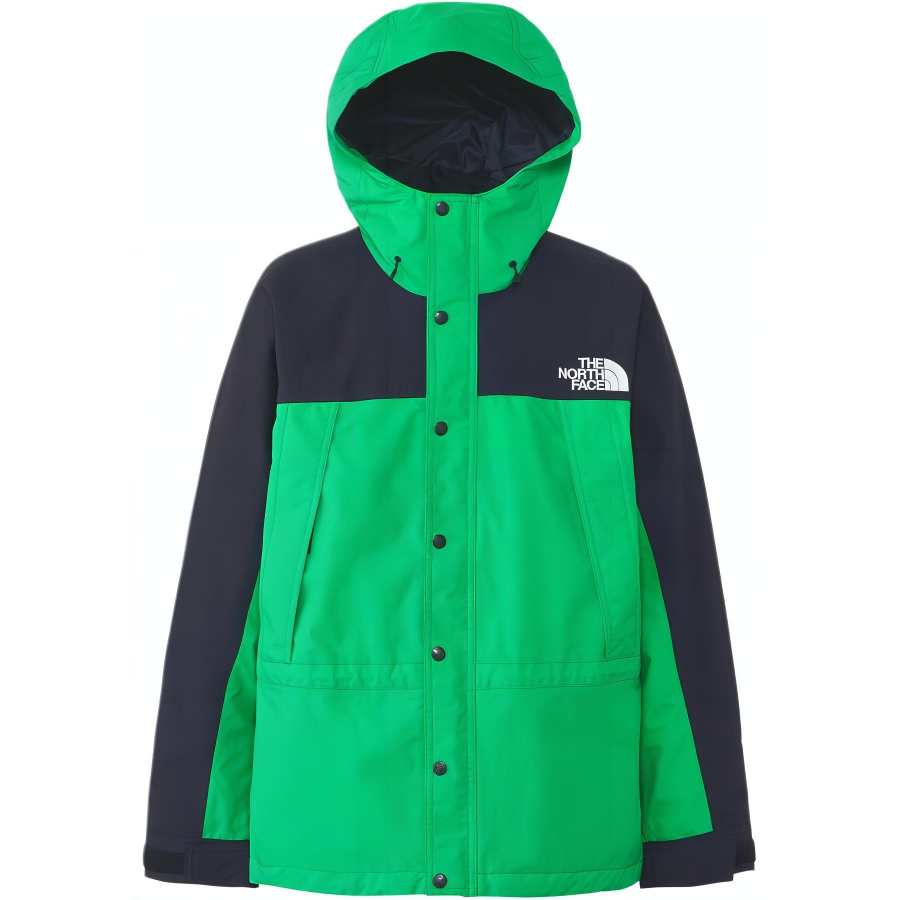 THE NORTH FACE Jackets & Coats Men's Jadeite Green