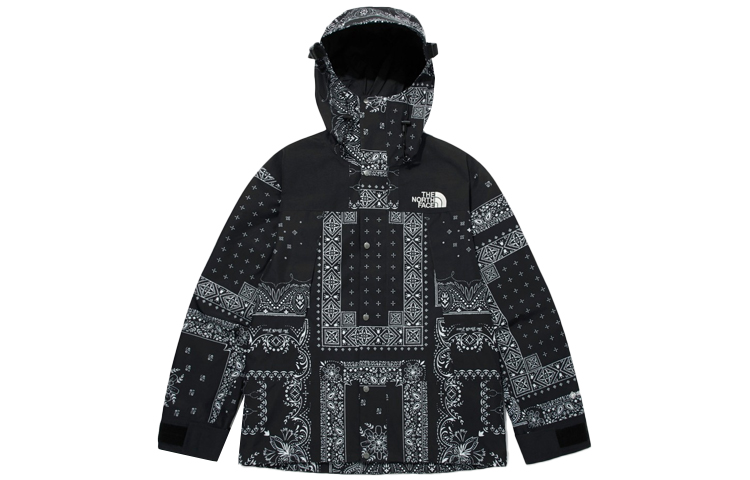 THE NORTH FACE Eco Gtx Mountain Jacket Black Korea Version