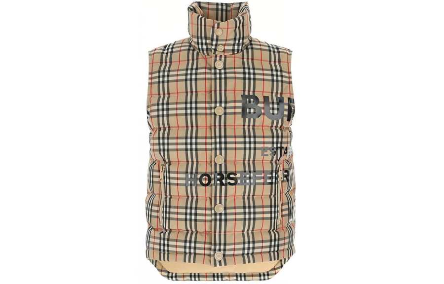 Burberry Burberry Down Jacket Men's Brown