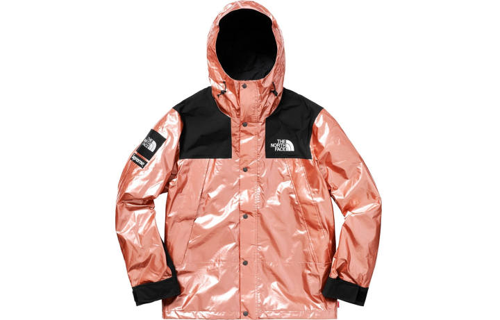 Supreme Supreme x The North Face metallic mountain jacket