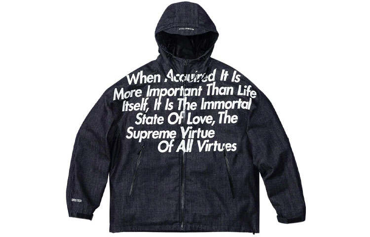 Supreme Supreme X Junya Watanabe X Comme Des Garçons Man GORE TEX Denim Parka
