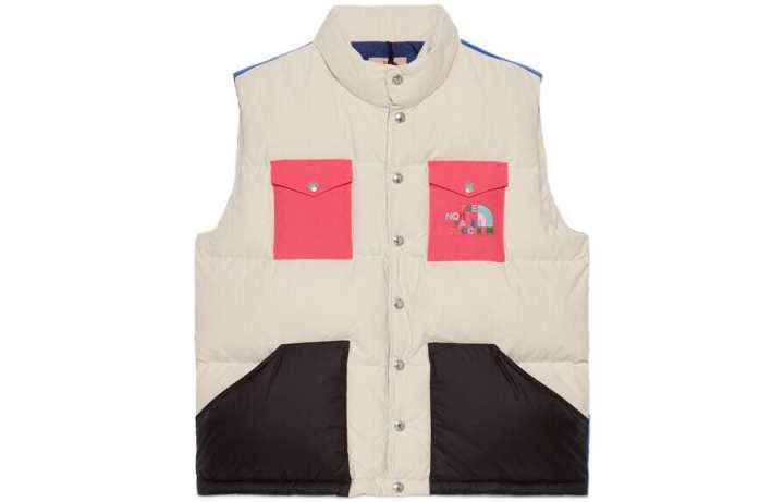GUCCI GUCCI X The North Face Down Vest