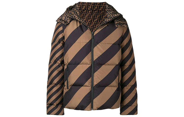 FENDI FENDI FW21 Down Jacket Men's Dark Brown