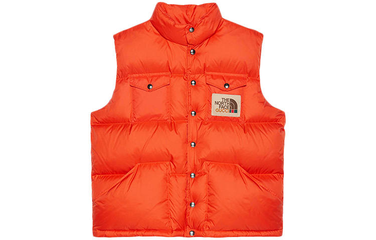 GUCCI x THE NORTH FACE Gucci X The North Face Down Vest Unisex