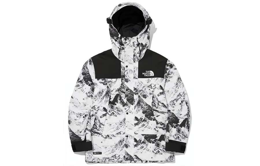 THE NORTH FACE Novelty Gtx Mountain Jacket S Nutral Gray Unisex Korea Version