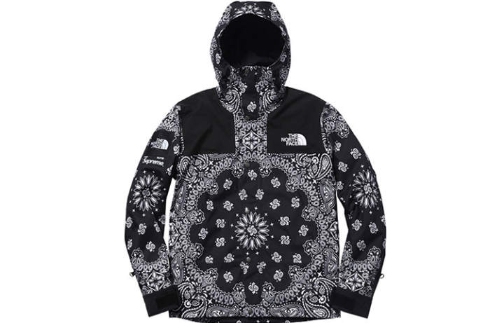Supreme Supreme The North Face Bandana Mountain Jacket