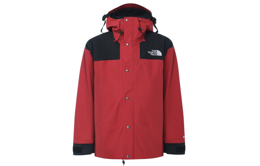 THE NORTH FACE The North Face Mountain jacket