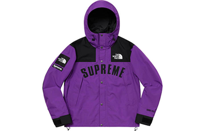 Supreme Supreme The North Face Arc Logo Mountain Parka