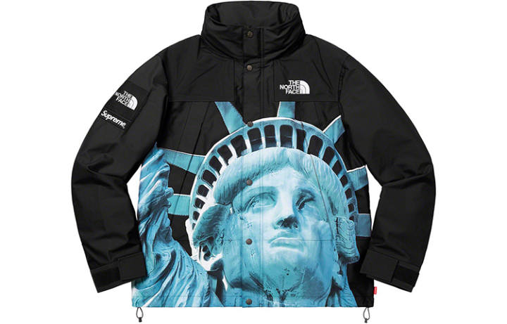 Supreme Supreme x The North Face Statue Of Liberty jacket
