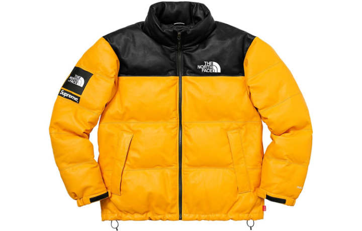 Supreme Supreme The North Face Leather Nuptse Jacket