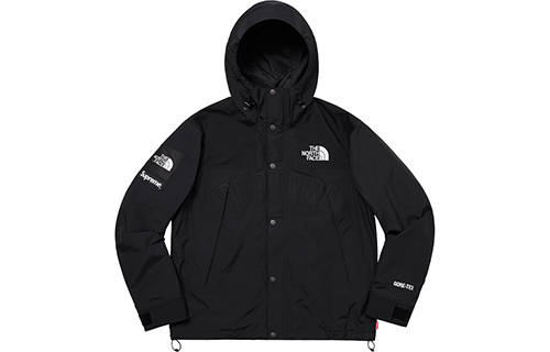 Supreme Supreme X The North Face Arc Logo Mountain Parka