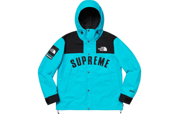 Supreme Supreme The North Face Arc Logo Mountain Parka