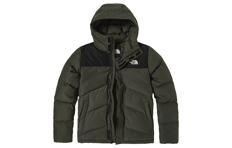 THE NORTH FACE Down Jacket Men's Green