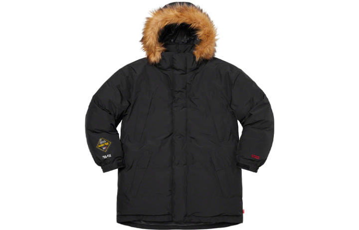 Supreme Supreme GORE TEX 700 Fill Down Parka FW21