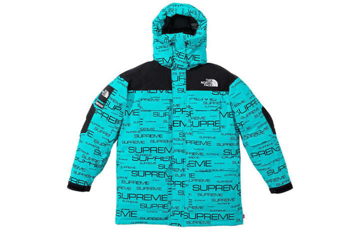 Supreme Supreme x THE NORTH FACE FW21TNF Down Jacket Unisex
