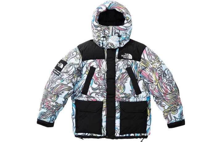 Supreme Supreme The North Face 700 Fill Down Parka