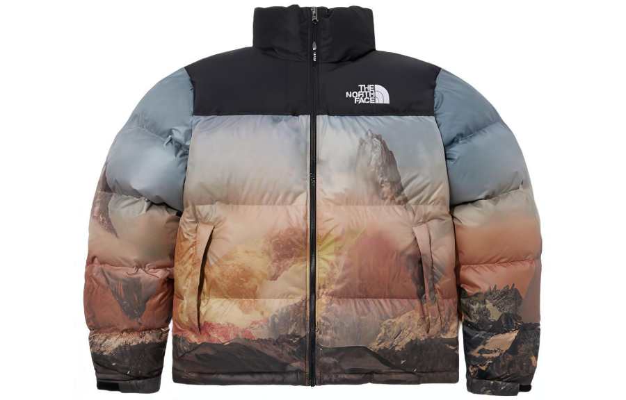 THE NORTH FACE 1996 Collection FW23 Down Jacket Unisex All Over Print