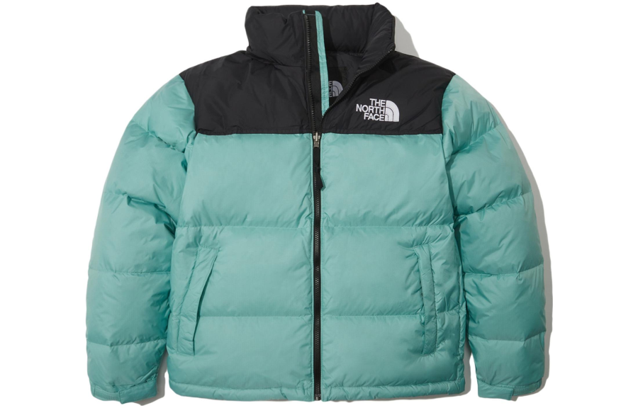 THE NORTH FACE 1996 Collection Down Jacket Winter Men's Mint
